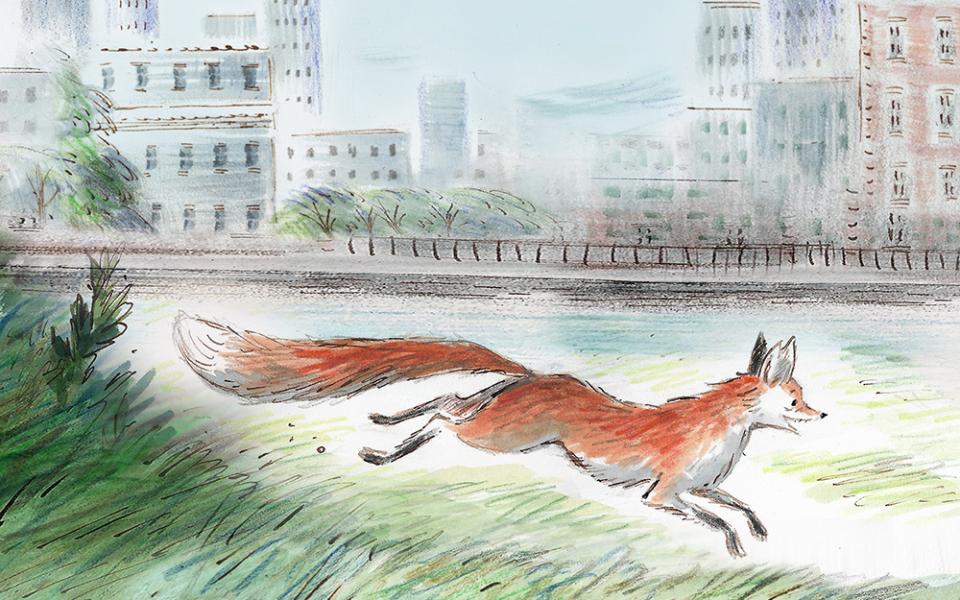 Drawing of Gaspard the Fox running through grass, buildings in the background