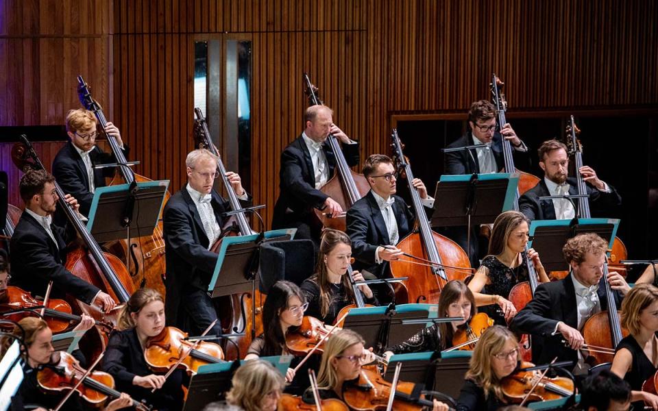 Mozart masterpieces credit Marc Gascoigne Philharmonia Orchestra lower strings on stage in concert at Royal Festival Hall