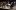 Philharmonia Chamber Players in string quartet at the Royal Festival Hall